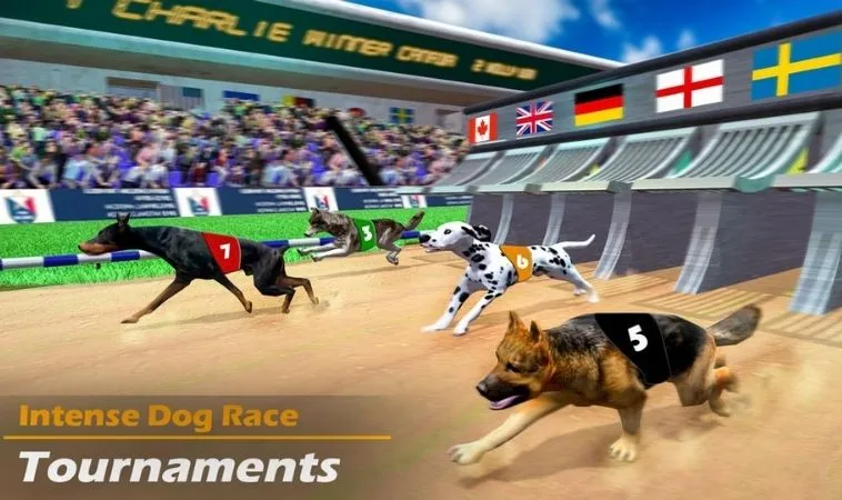 Cách chơi game nhanh Đua Chó Tại B52 Club 